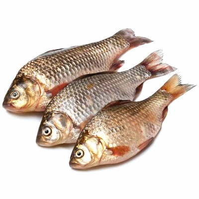 Карась ИП Бондаренко мелкий свежий