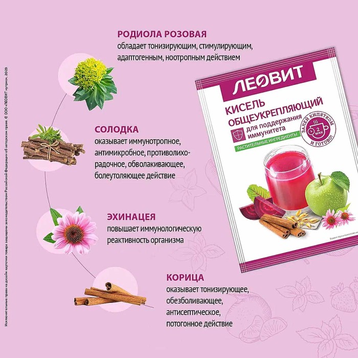 Кисель Леовит Общеукрепляющий 100гр к/у
