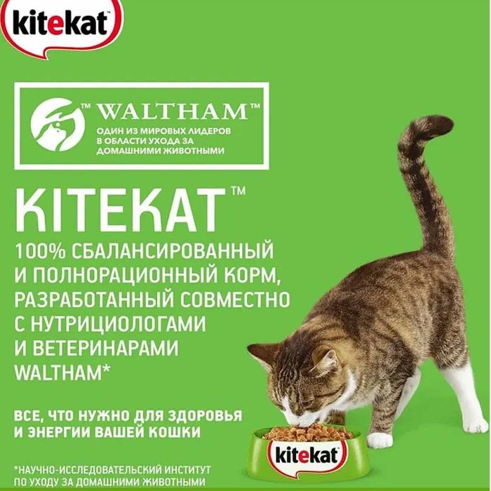 Корм для кошек Kitekat ягненок в соусе 85гр пауч