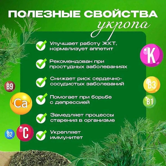 Укроп Приправыч 7гр м/у