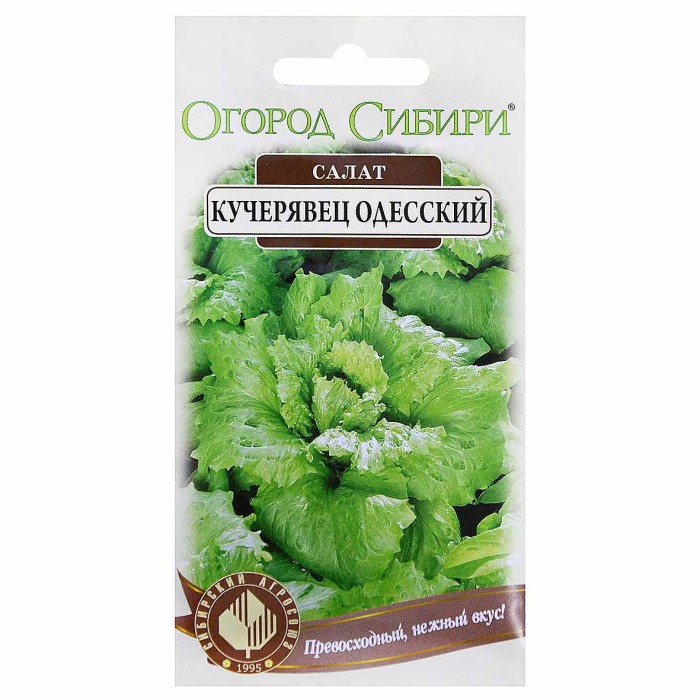 Салат Огород Сибири Кучерявец Одесский ппо 1гр м/у