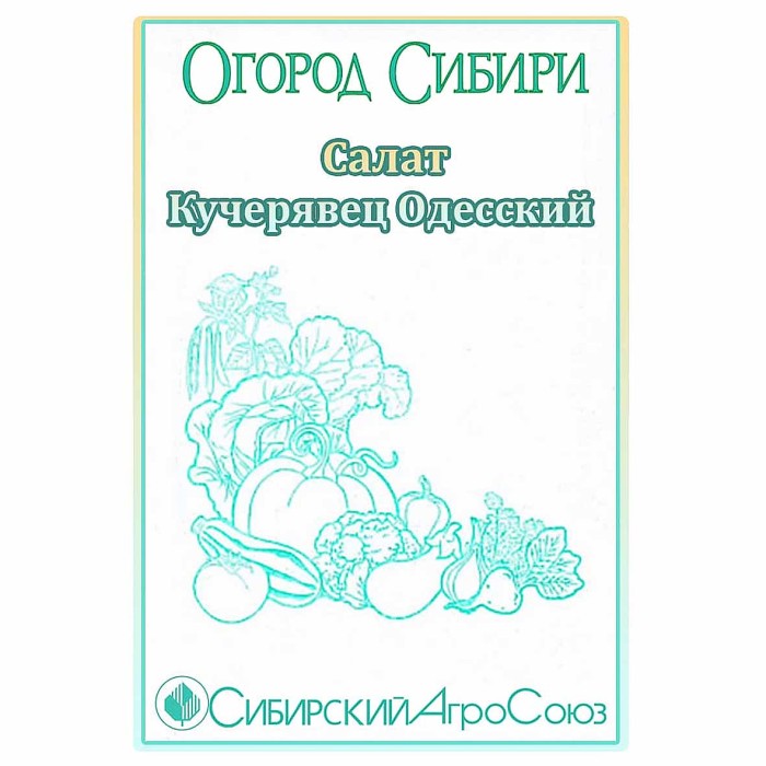 Салат Огород Сибири Кучерявец Одесский ппо 1гр м/у