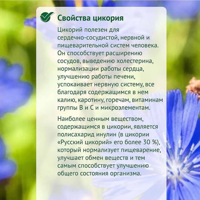 Цикорий Русский цикорий с боярышником 100гр д/п