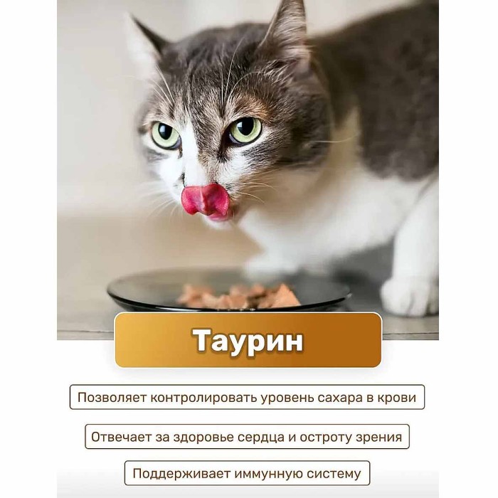 Корм для кошек Lapka индейка в соусе 85гр пауч