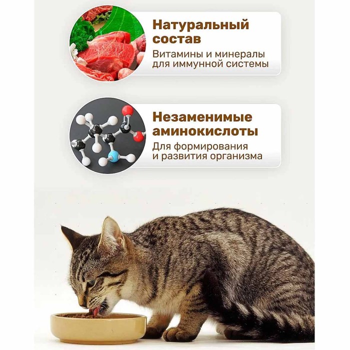 Корм для кошек Lapka индейка в соусе 85гр пауч