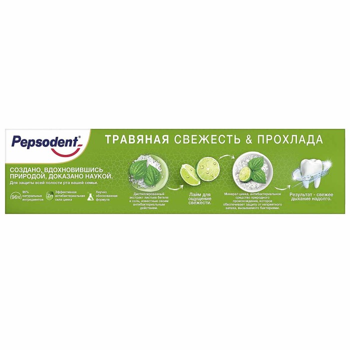 Паста зубная Pepsodent Complete 8 травяной 120гр