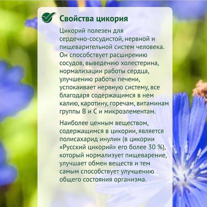 Цикорий Русский цикорий со стевией 100гр д/п