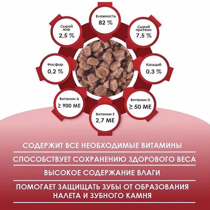 Корм для кошек Kissa с говядиной в соусе 75гр пауч
