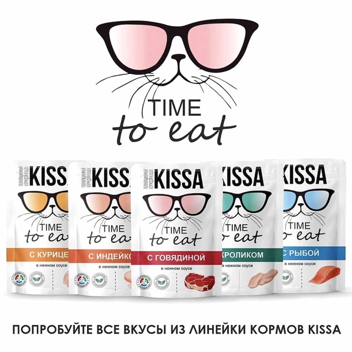 Корм для кошек Kissa с говядиной в соусе 75гр пауч