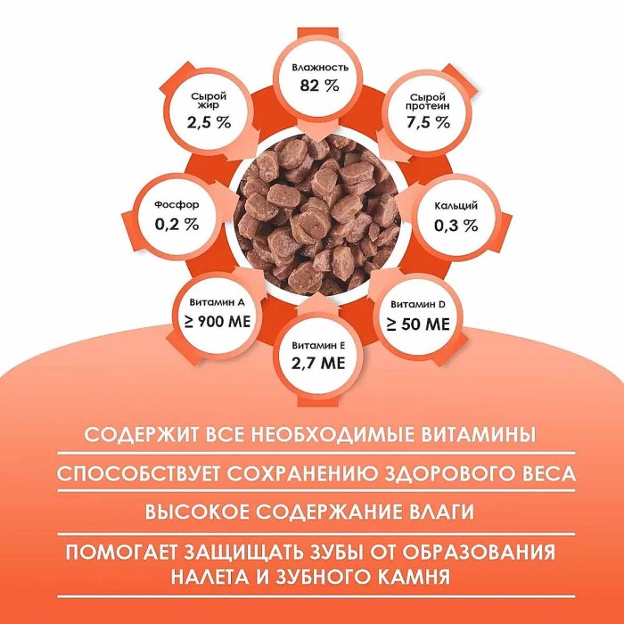 Корм для кошек Kissa с индейкой в соусе 75гр пауч