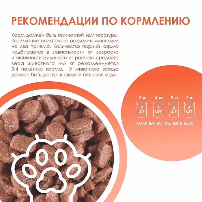 Корм для кошек Kissa с индейкой в соусе 75гр пауч