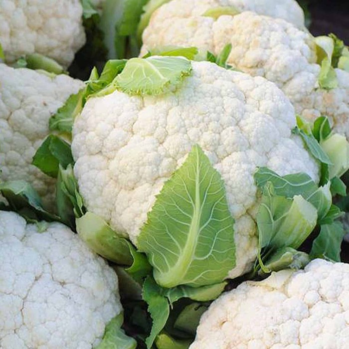 Капуста цветная Сибирский Агросоюз Царевна 10шт м/у