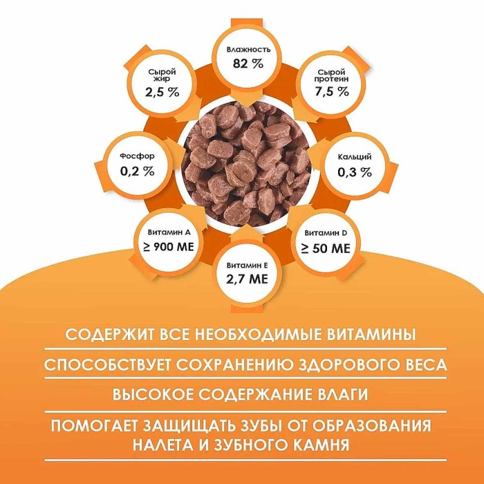 Корм для кошек Kissa с курицей в соусе 75гр пауч