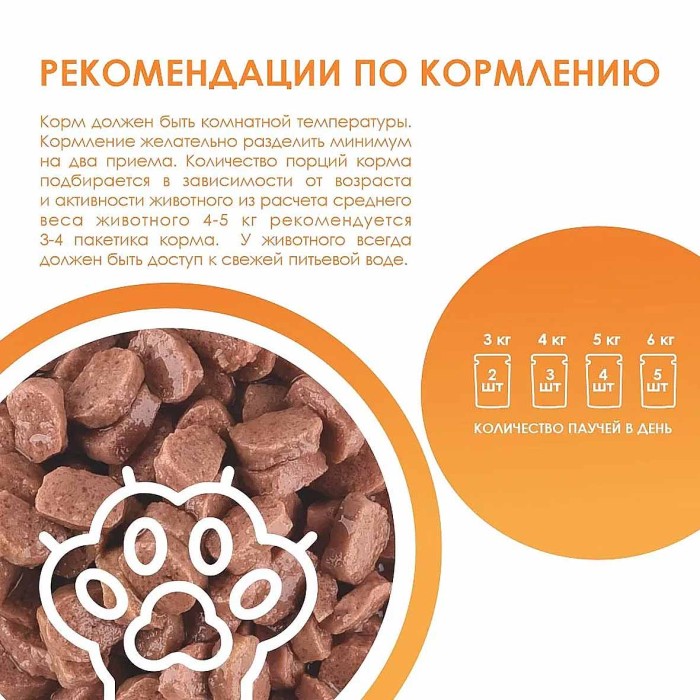 Корм для кошек Kissa с курицей в соусе 75гр пауч