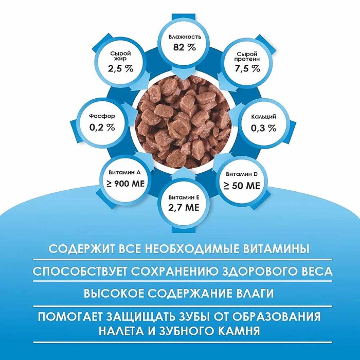 Корм для кошек Kissa с рыбой в соусе 75гр пауч