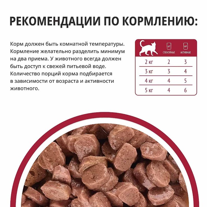 Корм для кошек Kott с говядиной в соусе 75гр пауч