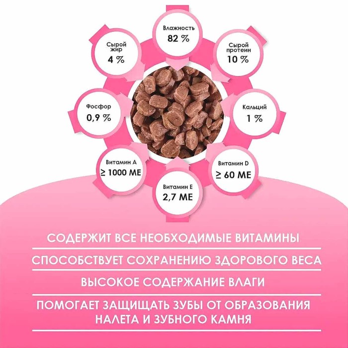 Корм для котят Kissa с курицей в соусе 75гр пауч