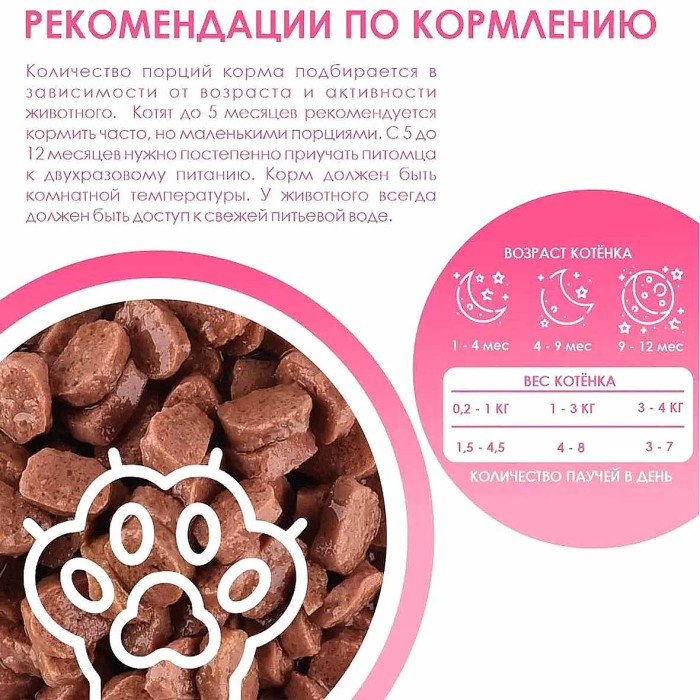 Корм для котят Kissa с курицей в соусе 75гр пауч