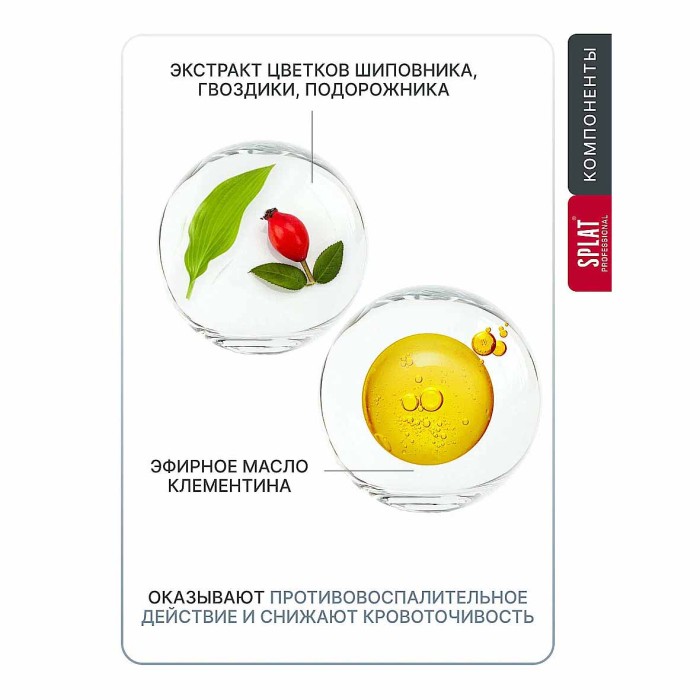 Паста зубная Splat Professional Здоровые десны 100мл к/у