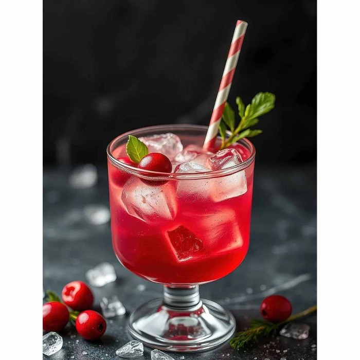 Сироп Monin Клюква 700мл ст/б