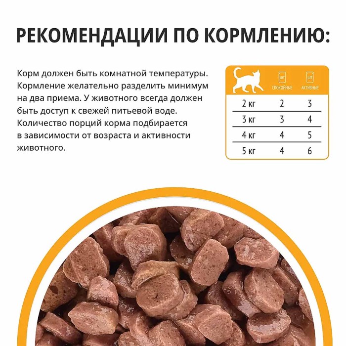 Корм для кошек Kott с курицей в соусе 75гр пауч