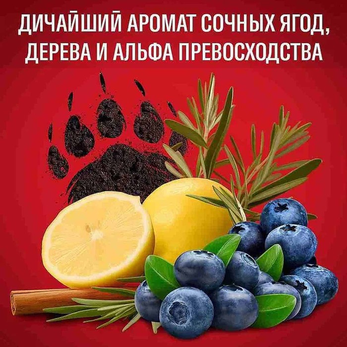 Гель для душа Old Spice Bearglove 2в1 400мл пэт