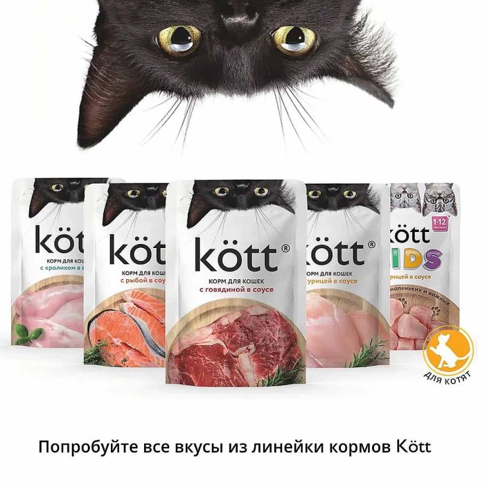 Корм для кошек Kott с рыбой в соусе 75гр пауч