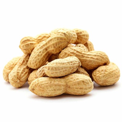 Арахис ИП Рыскулов н/о