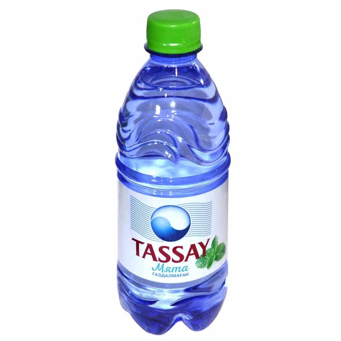 Вода Tassay мята негаз 0,5л пэт
