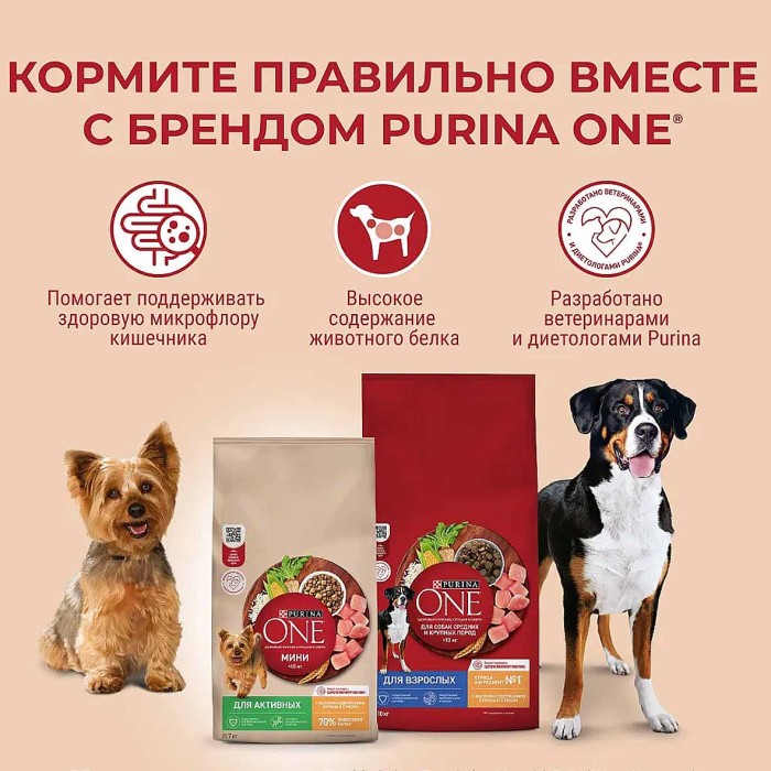 Корм для собак Purina One мини говядина-рис 1,5 кг м/у