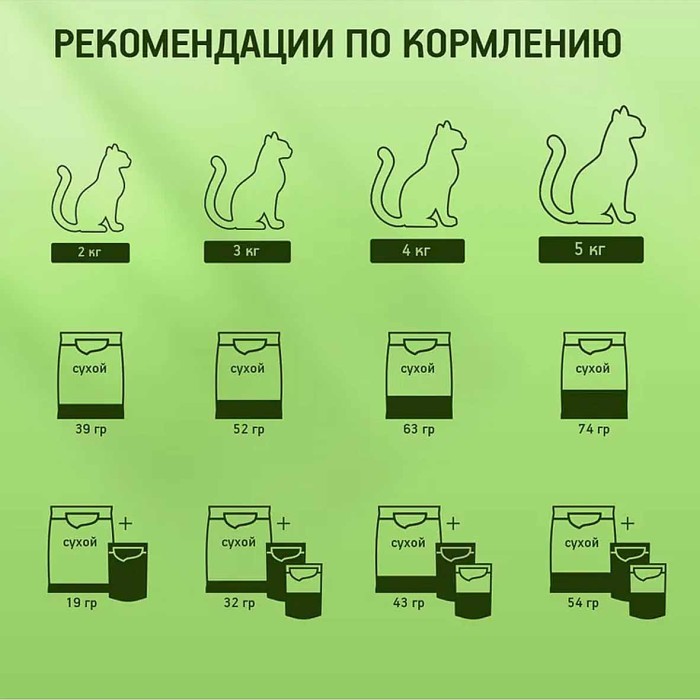 Корм для кошек Kitekat говядина в желе 85гр пауч