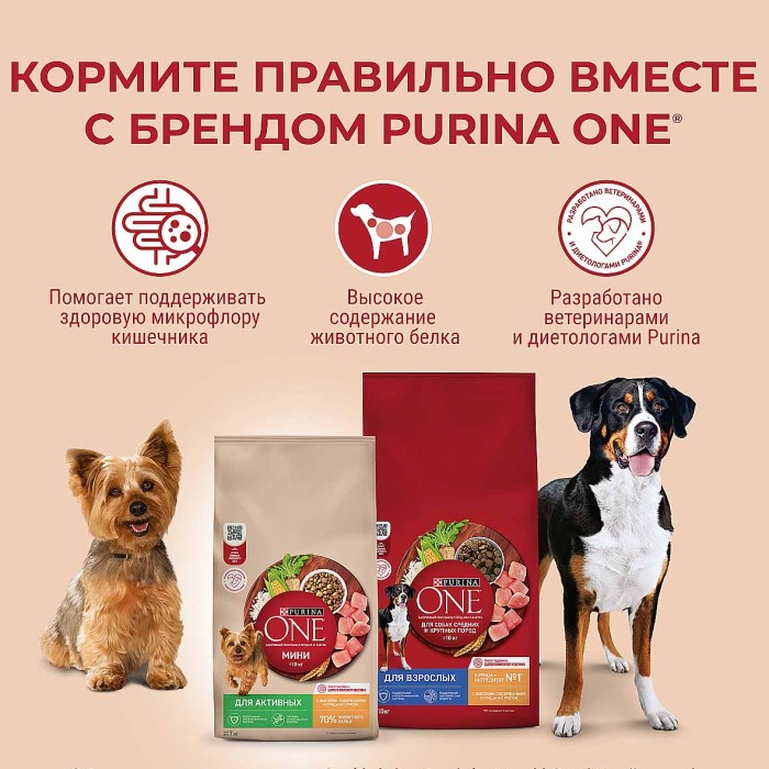 Корм для собак Purina One мини индейка-рис 1,5 кг м/у