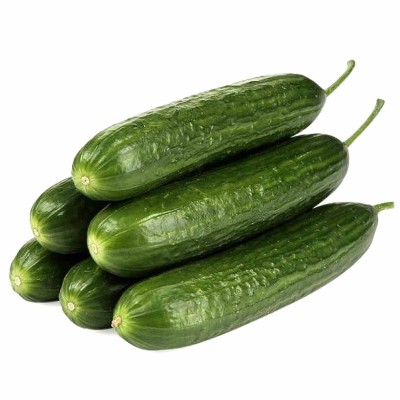 Огурцы Зеленый Север Рава
