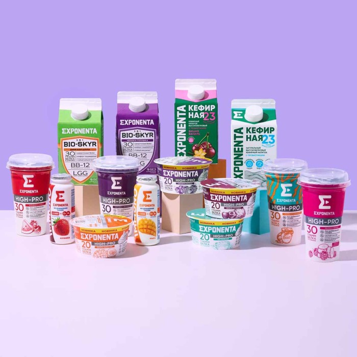 Напиток кисломолочный Exponenta Bio-Skyr 3в1 Страчателла Пломбир 500гр т/п