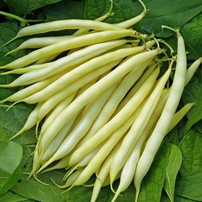 Фасоль Сибирский Агросоюз Масляный Король 12шт пп м/у