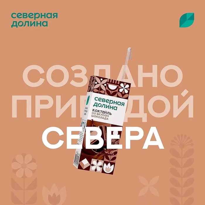 Коктейль молочный Северная Долина со вкусом шоколада 2,5% 200мл т/п