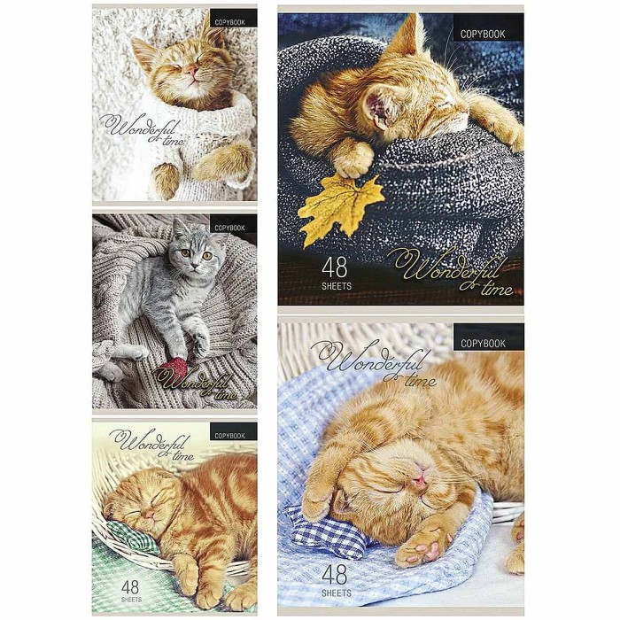 Тетрадь Проф-Пресс Котята и Пледы 48л клетка