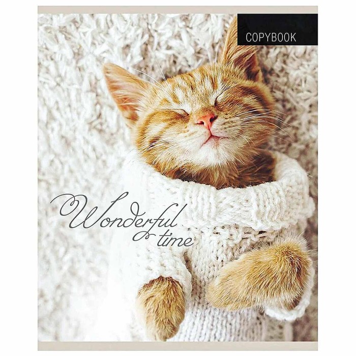 Тетрадь Проф-Пресс Котята и Пледы 48л клетка