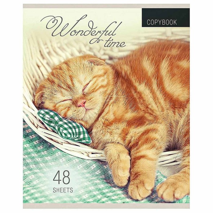 Тетрадь Проф-Пресс Котята и Пледы 48л клетка