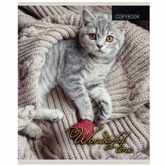 Тетрадь Проф-Пресс Котята и Пледы 48л клетка