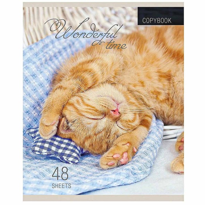 Тетрадь Проф-Пресс Котята и Пледы 48л клетка