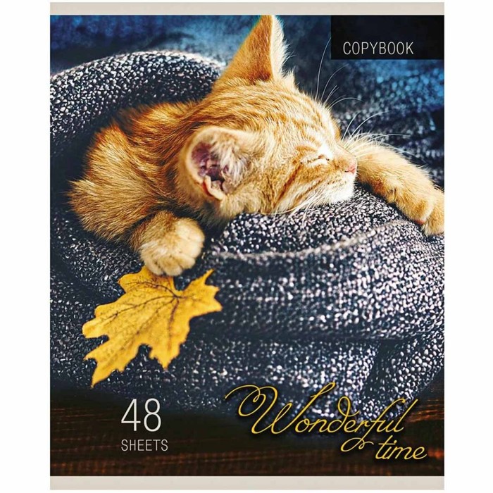 Тетрадь Проф-Пресс Котята и Пледы 48л клетка