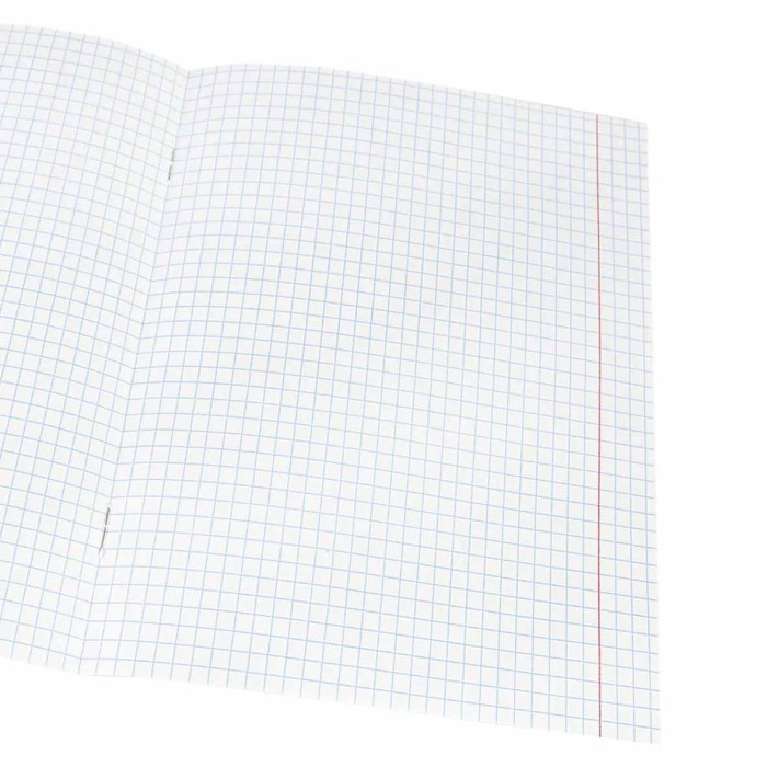 Тетрадь Проф-Пресс Котята и Пледы 48л клетка