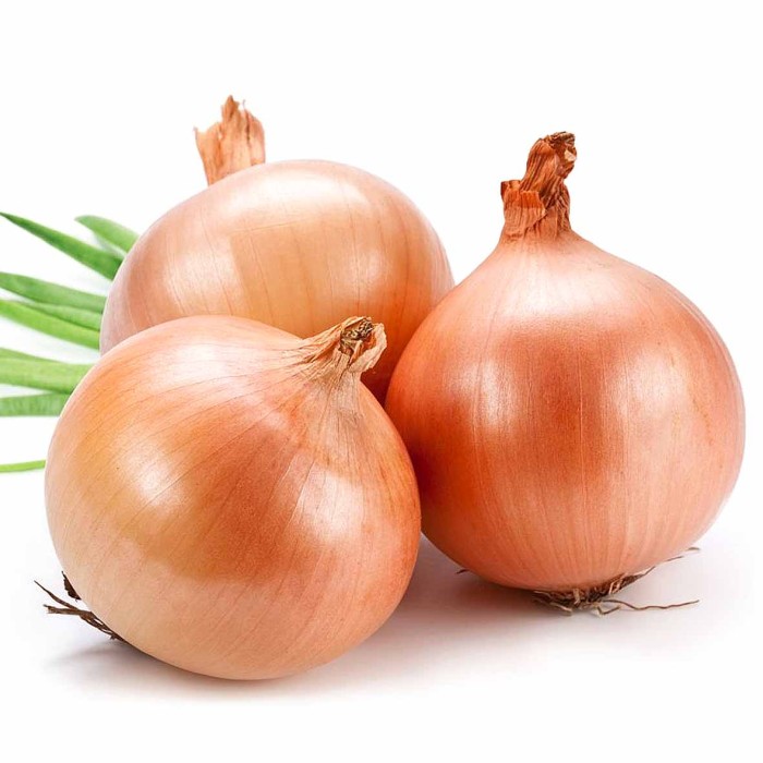 Лук ИП POTATOES