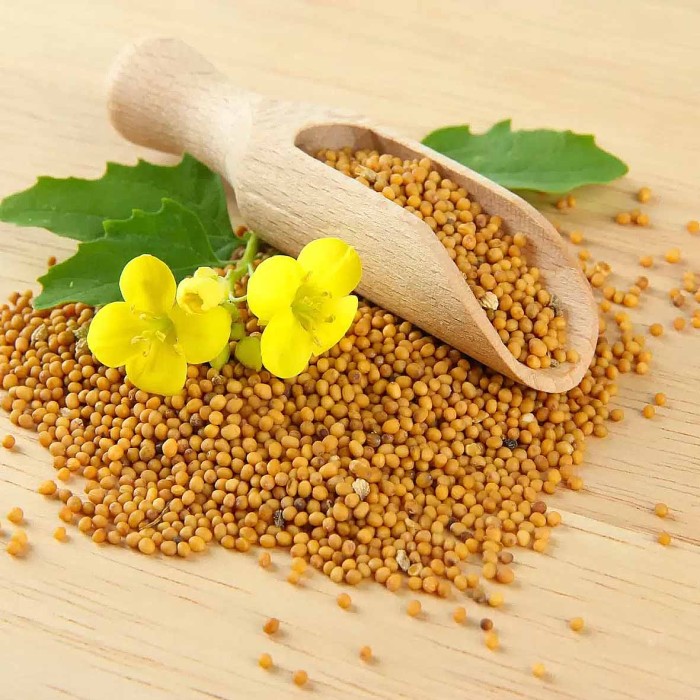 Семя горчичное Relish 20гр м/у