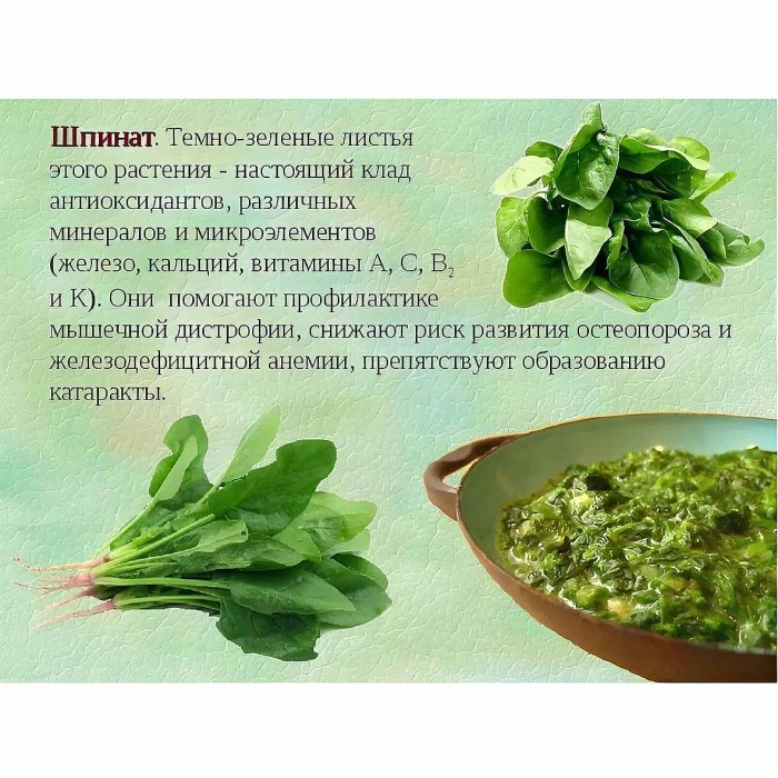 Шпинат Приправыч 40гр м/у