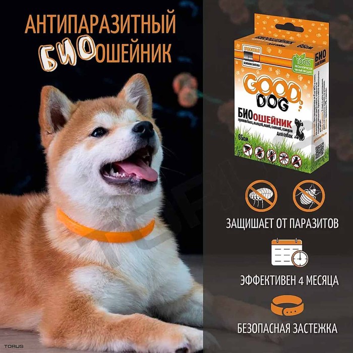 Биоошейник для кошек Good Dog оранжевый от блох и клещей 65см арт04103