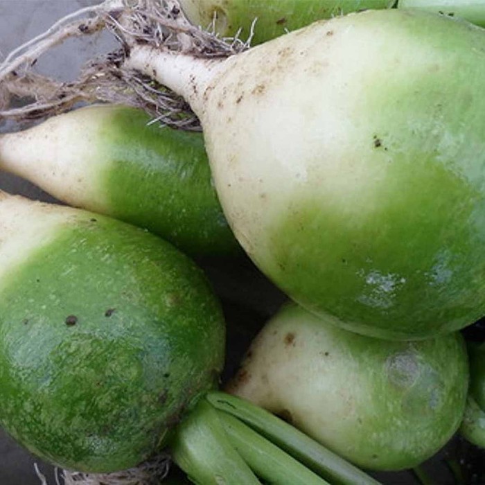 Редька Сибирский Агросоюз Маргеланская 1гр пп м/у