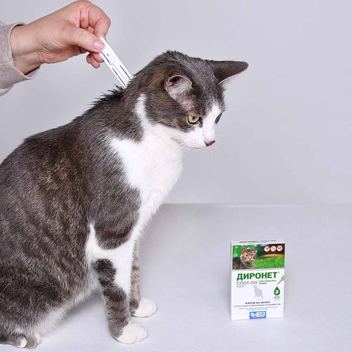 Капли на холку Диронет Спот-он для кошек 3 пипетки к/у